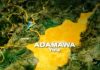 EU, UN congratulate Adamawa govt. on assenting to Violence Against Persons Prohibition Law
