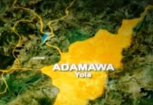 IOM, Mercy Corps, SFCG partner to end farmer/herder conflict in Adamawa