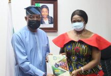 Diaspora Mega City will create 3 million jobs – FHA