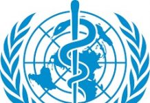WHOTaliban wants UN workers to remain in Afghanistan – WHO