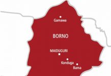 Diarrhea outbreak: 35 die, 150 hospitalised in Gwoza