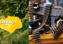 Gunmen kill seven persons, raze down 250 houses in Plateau, says community association