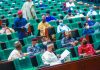 Insecurity: House of Reps asks Buhari to declare bandits as terrorists