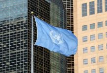 UN agencies back plan to ensure every child in need gets regular healthy meal in school by 2030