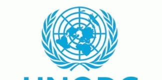 16 days of activism on GBV: UNODC calls for urgent action against the epidemic without borders