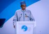 Buhari at Paris Peace Forum calls for objective, total distribution of COVID-19 vaccines