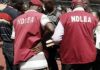 NDLEA charges man with peddling Cocaine, Cannabis, Molly, Metaphetamine