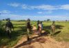 Troops rescue 35 kidnapped victims in Katsina