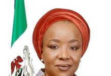 FG worried over increasing depletion of economic trees