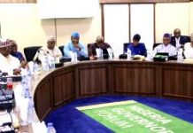 New naira notes: Governors set up committee to work with CBN