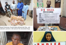 Pregnant woman arrested with 1,441kg imported skunk in Lagos raid