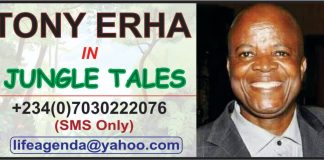 A troubled military and its country’s killing fields By Tony Erha Xenophobia, South Africa, Nigeria and children of bad neighbours, By Tony Erha