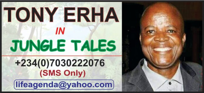 Xenophobia, South Africa, Nigeria and children of bad neighbours, By Tony Erha