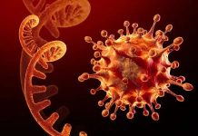 Omicron infections confirmed in 22 African nations