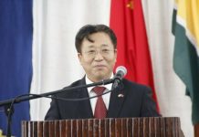 China advises Nigeria to develop indigenous political system