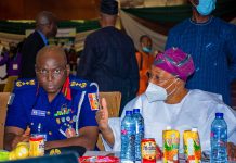 Tackling security challenges in Nigeria: Audi advocates establishment of robust and reliable intelligence-based fusion center