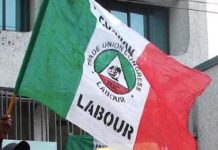TIghten our borders for a free and fair election