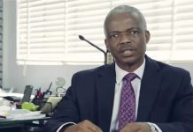 Dr Doyin Salami is President Buhari’s new Chief Economic Adviser-Presidential spokesperson