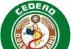 Displaced persons in Nigeria now 3.3 million, says ECOWAS