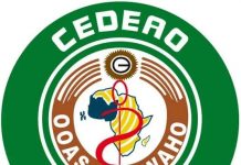 ECOWAS withdraws ambassadors in Mali, shuts borders