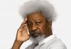 Wole Soyinka denies endorsing Tinubu, says he has no business with politics in land of the dead