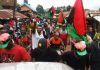 IPOB bans National anthem in schools, slaughtering of cows for ceremonies in South-East