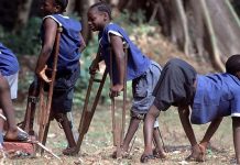 NPHCDA confirms 395 mutant poliovirus cases in 27 states, FCT