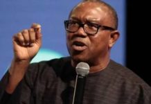 Basking in the euphoria of home-base endorsement, Peter Obi declares: “I need only four years to reposition Nigeria”