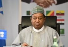 OPEC Sec-Gen Barkindo arrives in Cairo for ‘EGYPS’ engagement
