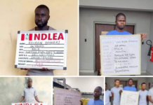 NDLEA arrests five members of airport drug syndicate, recovers N19.8m cash from ring leader