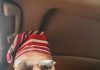 We’ll continue to collaborate with police, others to combat criminals in Osun, says OPC leader