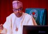 Buhari summons Hope Uzodinma, Power Minister, Economic Adviser