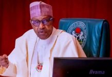 Buhari summons Hope Uzodinma, Power Minister, Economic Adviser