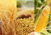 FG bans foreigners from purchasing agricultural commodities