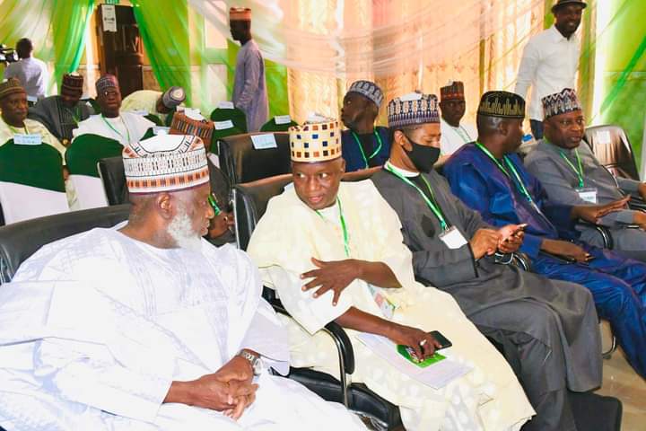 NESDMP will rehabilitate North East, says Buni