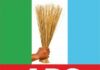 APC National Convention: Governors, leaders endorse Fatai Ibikunle, Kekemeke as Vice Chairman, Secretary