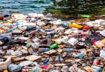 World Environment Day: How China and Africa are tackling plastic pollution 