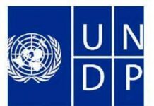 UNDP: For Nigeria to walk tall, women must not be excluded from political leadership