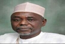 Why we sacked Imam who criticised Buhari — Mosque Chairman