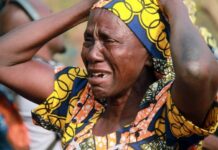 Massacre of hapless Nigerians by terrorists, herders, bandits: House of Reps’ menbers slam Buhari, call for Monguno, Magashi’s sack