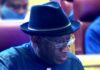 2023: Why Jonathan can’t run for presidency – Falana