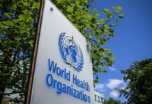 Malaria Killed Over 602,000 People In Africa Last Year – WHO