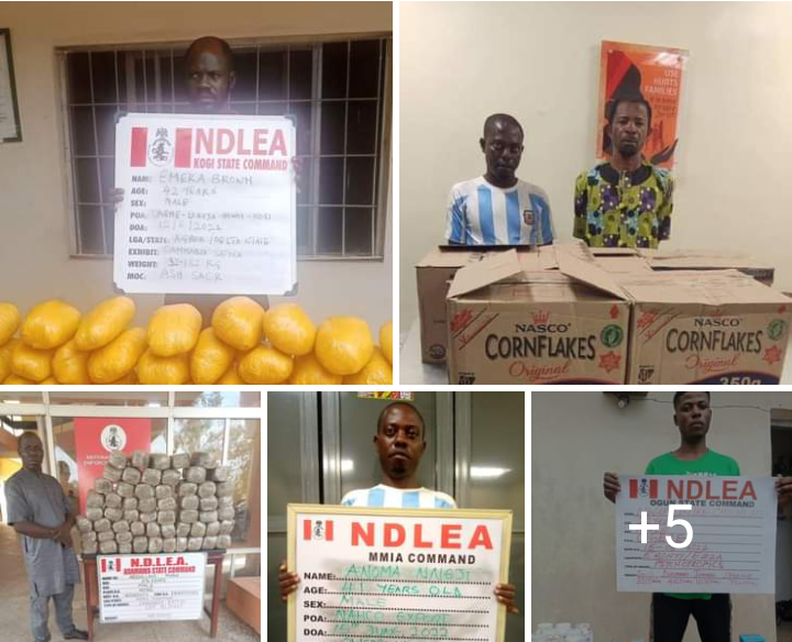 NDLEA intercepts meth consignments at Lagos airport, courier firm