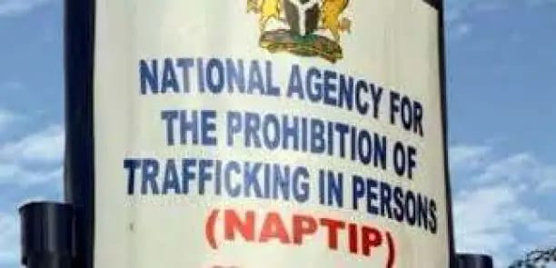 NAPTIP worries over rising cases of child trafficking in South East