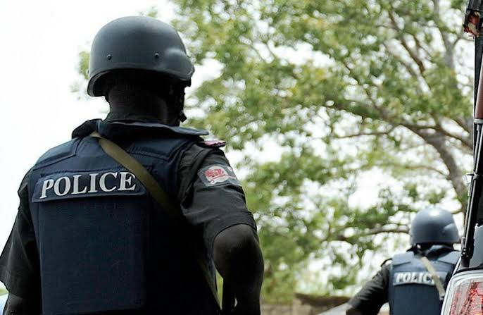 Police arrest serial phone thief in Kano