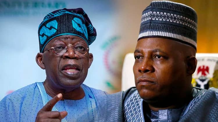 Why Tinubu deserves Northern support for 2023: Group