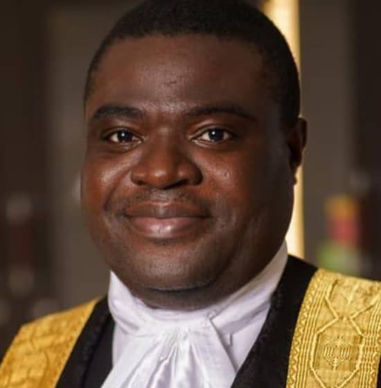 UN appoints Olawuyi into Business, Human Rights working group