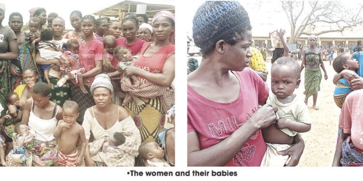 Baby boom at Benue IDPs’ camps as 80 children delivered in seven months