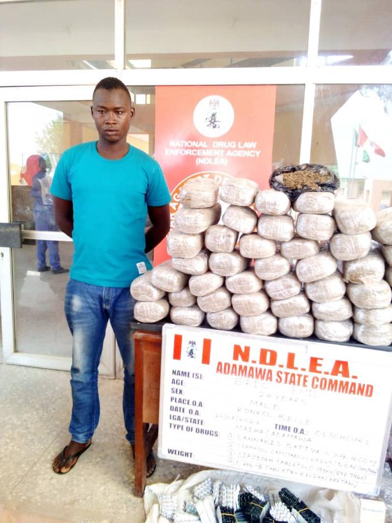 NDLEA intercepts N1.4 billion worth of tramadol at Lagos Port