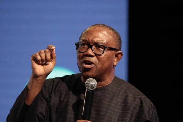 2023 elections won’t be based on one’s turn, ethnicity, religion – Peter Obi